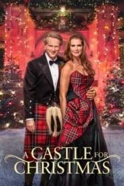 Benim Güzel Noel Şatom online film izle